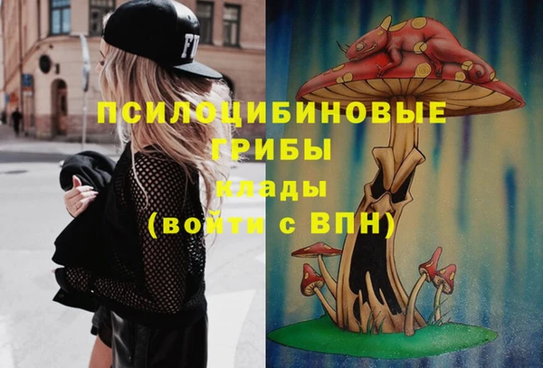 стафф Белоозёрский