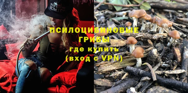 дмт Беломорск